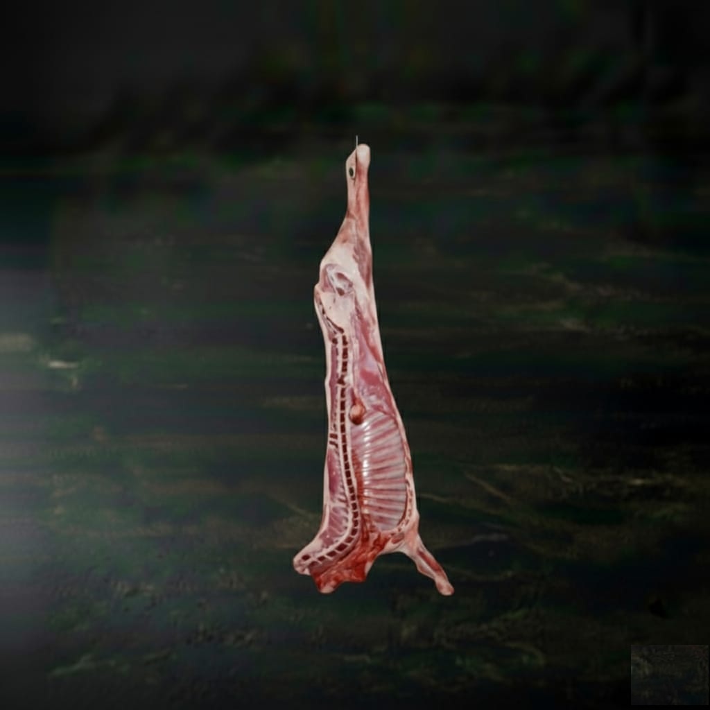 نص نعيمي هرفى وسط