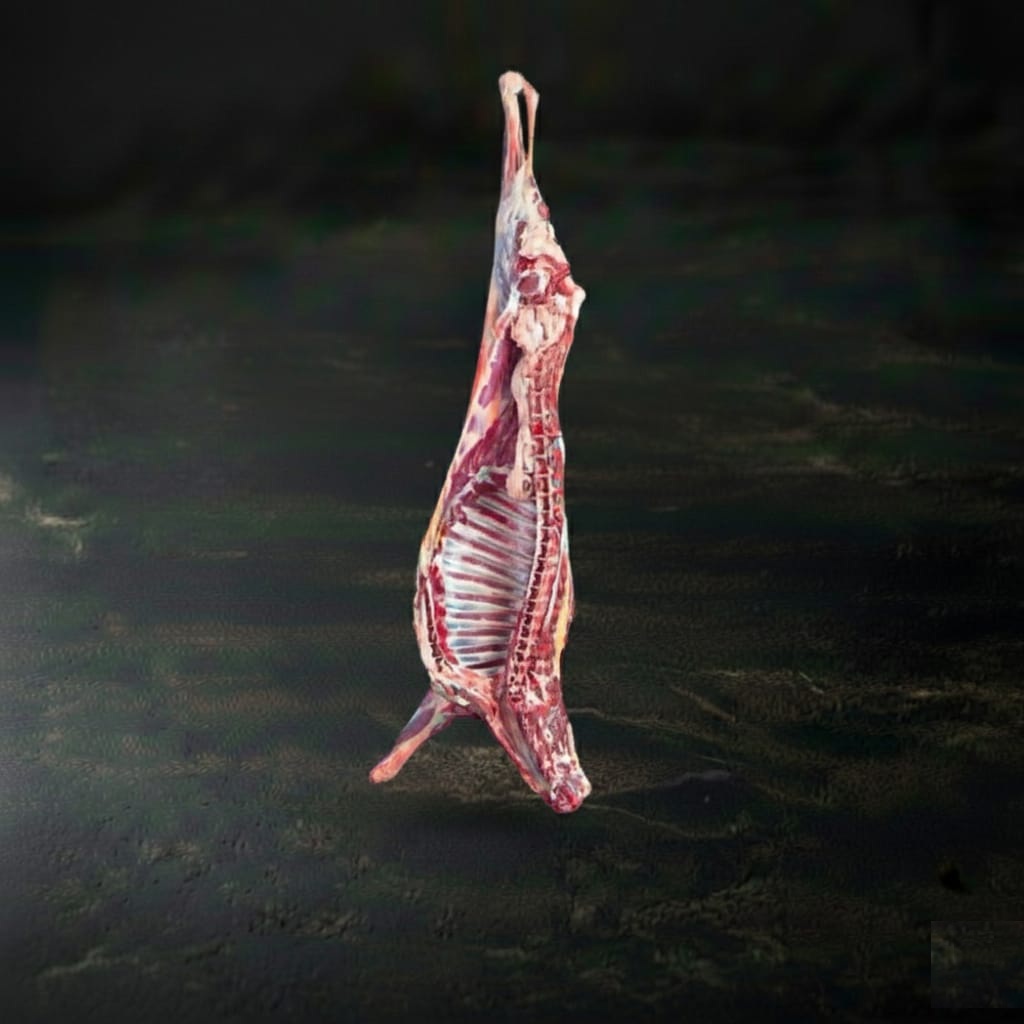 نص نعيمي هرفى جذع